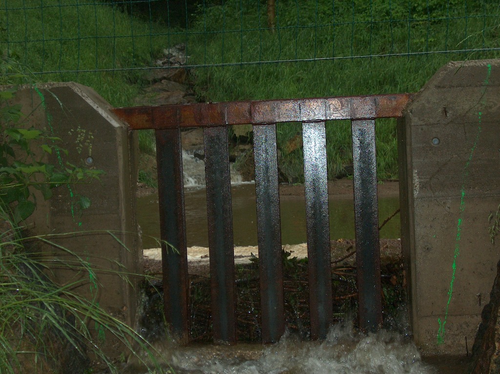 Eidenberg Info Bisherige Hochwasserschutzbauten Haben Sich Bewahrt