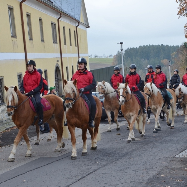 Einladung zum Leonhardiritt am 8. Nov. 2026